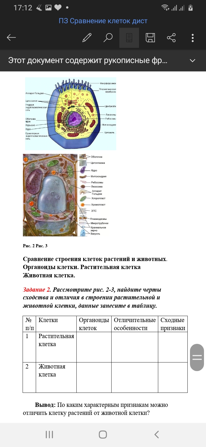 Домашняя работа / Биология / Школа / 9