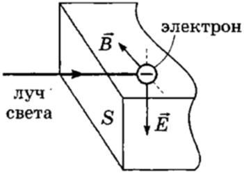 Укажите какие плоскости организма изображены на рисунке